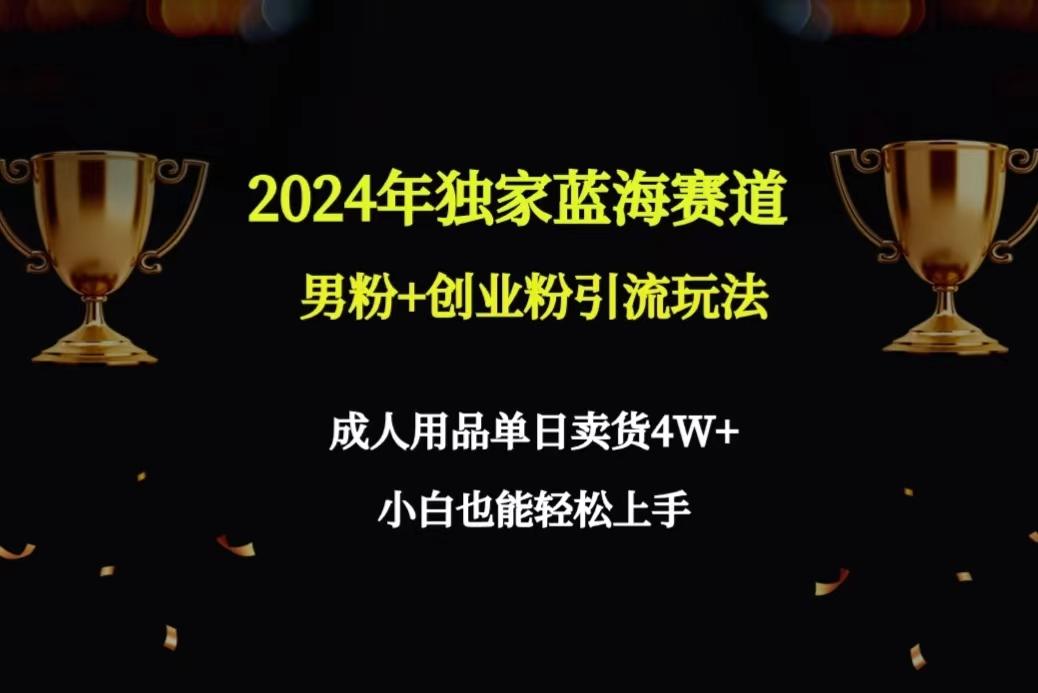 2024年独家蓝海赛道男粉+创业粉引流玩法，成人用品单日卖货4W+保姆教程壹学湾 - 一站式在线学习平台，专注职业技能提升与知识成长壹学湾