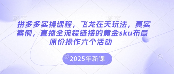 拼多多实操课程，飞龙在天玩法，真实案例，直播全流程链接的黄金sku布局原价操作六个活动壹学湾 - 一站式在线学习平台，专注职业技能提升与知识成长壹学湾