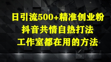 日引流500+精准创业粉，抖音共情自热打法，工作室都在用的方法壹学湾 - 一站式在线学习平台，专注职业技能提升与知识成长壹学湾