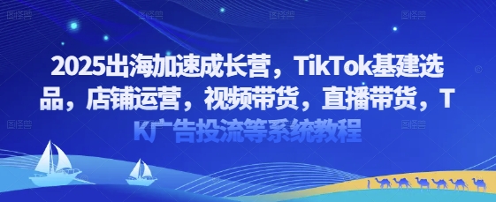 2025出海加速成长营，TikTok基建选品，店铺运营，视频带货，直播带货，TK广告投流等系统教程壹学湾 - 一站式在线学习平台，专注职业技能提升与知识成长壹学湾