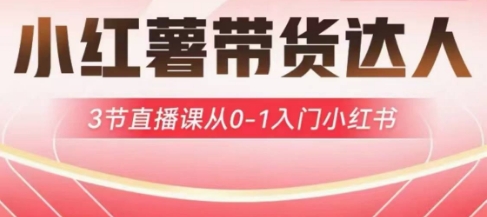 小红薯达人带货启航计划，3节直播课从0-1入门小红书壹学湾 - 一站式在线学习平台，专注职业技能提升与知识成长壹学湾