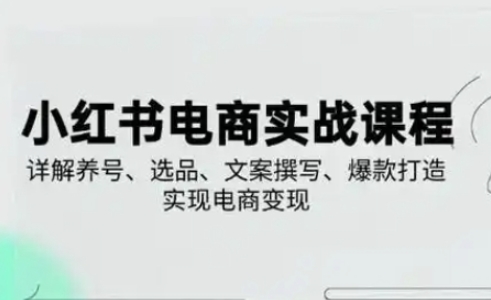 小红书从0-1实操课(2023-2025)，详解养号、选品、文案撰写、爆款打造实现电商变现壹学湾 - 一站式在线学习平台，专注职业技能提升与知识成长壹学湾