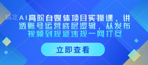 AI高阶自媒体项目实操课，讲透账号运营底层逻辑，从发布视频到规避违规一网打尽壹学湾 - 一站式在线学习平台，专注职业技能提升与知识成长壹学湾