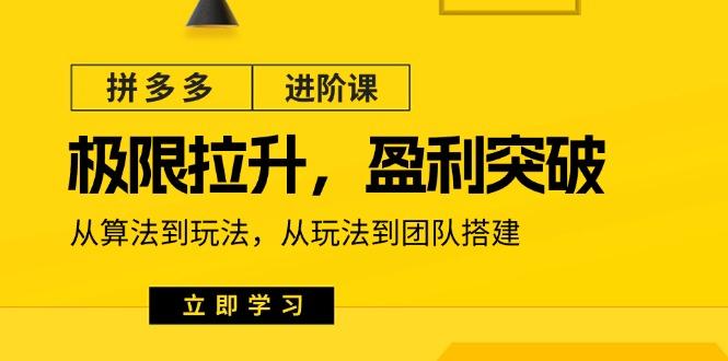拼多多·进阶课：极限拉升/盈利突破：从算法到玩法 从玩法到团队搭建-18节壹学湾 - 一站式在线学习平台，专注职业技能提升与知识成长壹学湾