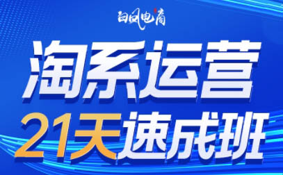 白凤电商·淘系运营21天速成班(更新4月)壹学湾 - 一站式在线学习平台，专注职业技能提升与知识成长壹学湾