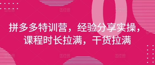 拼多多特训营，经验分享实操，课程时长拉满，干货拉满(更新25年4月)壹学湾 - 一站式在线学习平台，专注职业技能提升与知识成长壹学湾