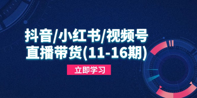抖音/小红书/视频号/直播带货(11-16期壹学湾 - 一站式在线学习平台，专注职业技能提升与知识成长壹学湾