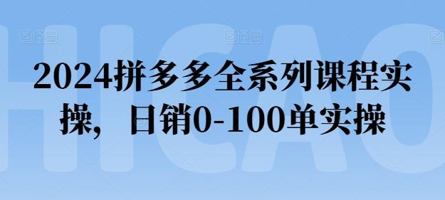 2024拼多多全系列课程实操，日销0-100单实操【必看】壹学湾 - 一站式在线学习平台，专注职业技能提升与知识成长壹学湾