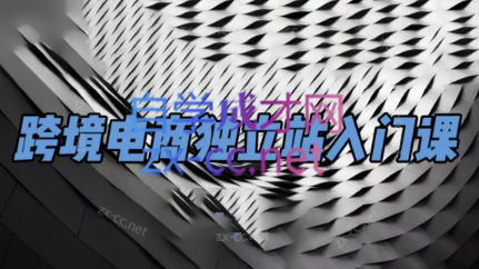 团长·跨境电商独立站入门课(2小时精华)壹学湾 - 一站式在线学习平台，专注职业技能提升与知识成长壹学湾
