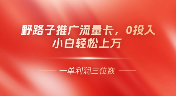 0门槛推广流量卡，一单收益上百，0投入，小白月入过W-百创源-全网首发各大平台项目资源、专注分享新出网上vip赚钱方法、vip课程视频教程、付费网络课程以及网赚培训，学习引流、建站、赚钱等，学项目技术从这里开始！