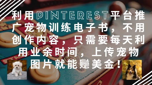 利用Pinterest平台推广宠物训练电子书，不用创作内容，只需要每天利用业余时间，上传宠物图片就能挣美金!壹学湾 - 一站式在线学习平台，专注职业技能提升与知识成长壹学湾