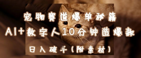 宠物赛道爆单秘籍：AI+数字人10分钟造爆款，日入1k壹学湾 - 一站式在线学习平台，专注职业技能提升与知识成长壹学湾
