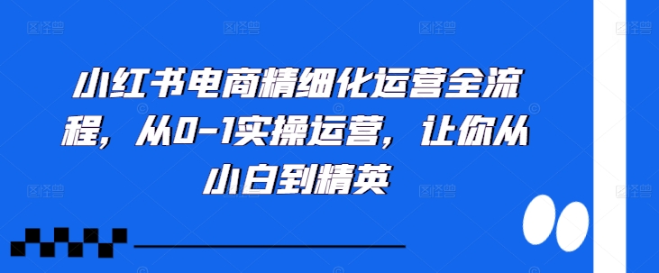 小红书电商精细化运营全流程，从0-1实操运营，让你从小白到精英壹学湾 - 一站式在线学习平台，专注职业技能提升与知识成长壹学湾