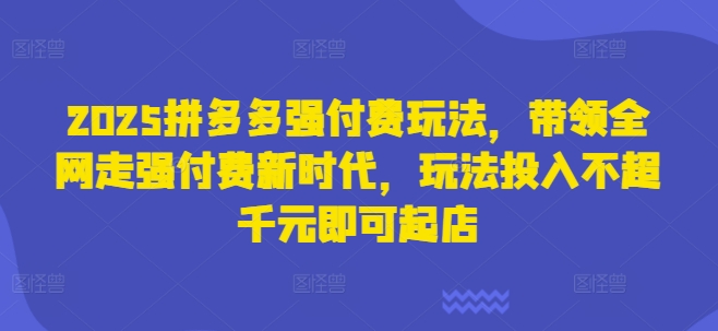 2025拼多多强付费玩法，带领全网走强付费新时代，玩法投入不超千元即可起店壹学湾 - 一站式在线学习平台，专注职业技能提升与知识成长壹学湾