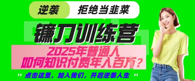 【网创项目终点站-镰刀训练营超级IP合伙人】25年普通人如何通过知识付费实现逆袭【揭秘】壹学湾 - 一站式在线学习平台，专注职业技能提升与知识成长壹学湾