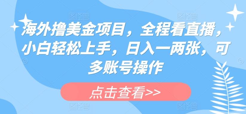 海外撸美金项目，全程看直播，小白轻松上手，日入一两张，可多账号操作【揭秘】壹学湾 - 一站式在线学习平台，专注职业技能提升与知识成长壹学湾